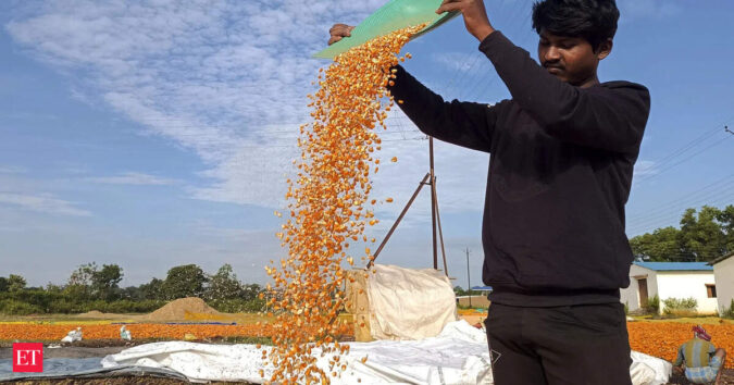 Why are corn and soybeans at the heart of India-US trade talks? ET logo