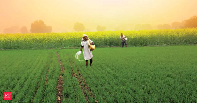 Cabinet approves Rs 37,952 cr subsidy for P&K fertiliser for 2025 rabi season ET logo