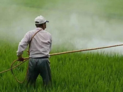 At Rs 1.92 lakh crore, fertiliser subsidy bill for FY26 may be 15% more than BE Screenshot 2025-10-30 041051