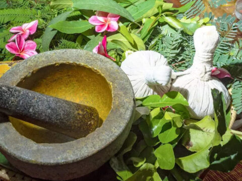 Indian Ayurveda economy valued at $43 billion: Ayush Secretary Kotecha ET logo