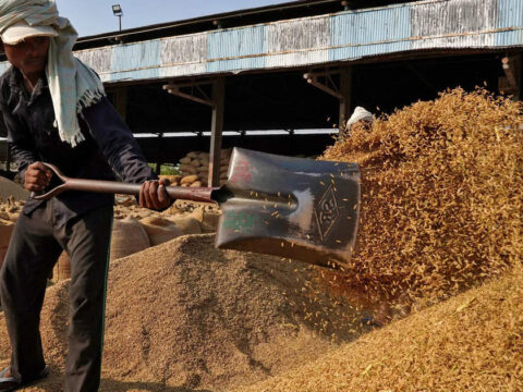 Rice prices down by up to 36% post-festive season ET logo