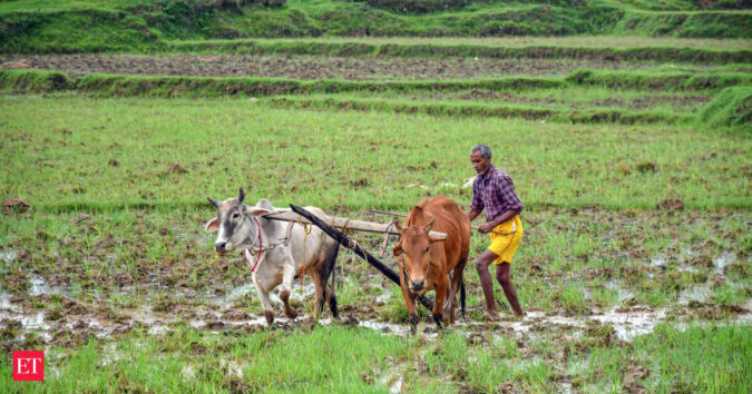 Govt probes complaints of Re 1 crop damage claims; warns insurers against playing jokes with farmers ET logo