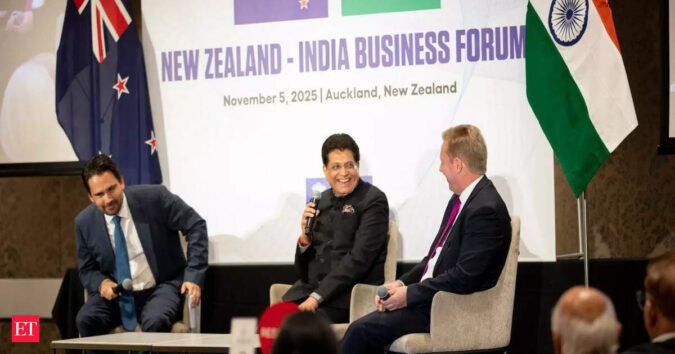 India, New Zealand make steady progress in FTA