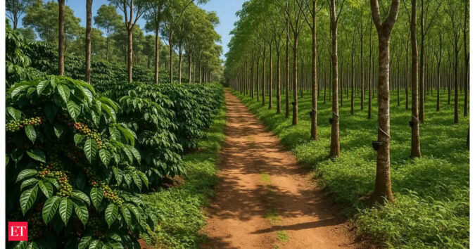 India initiates anti-dumping probe into imports of Chinese rubber ET logo