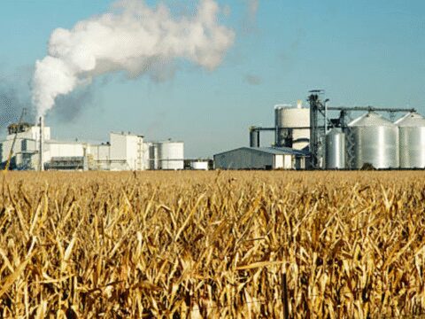 Maharashtra announces incentive scheme for sugar mills; to reward units for quality ET logo