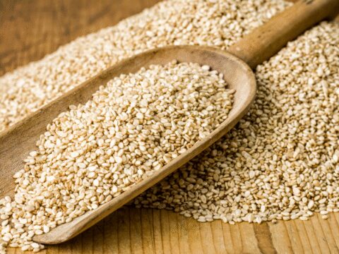 Ministry of Agriculture seeks public feedback on Draft Seeds Bill 2025 ET logo