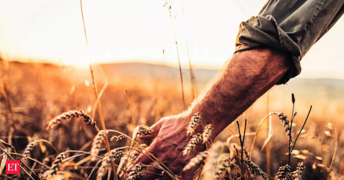 Wheat product export ban likely to be eased after good harvest ET logo