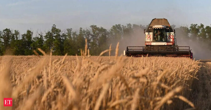 India to gain from US reciprocal tariff cuts on some agri items: Commerce ministry ET logo