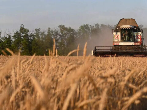 India set for record wheat planting as soil moisture and prices rise ET logo