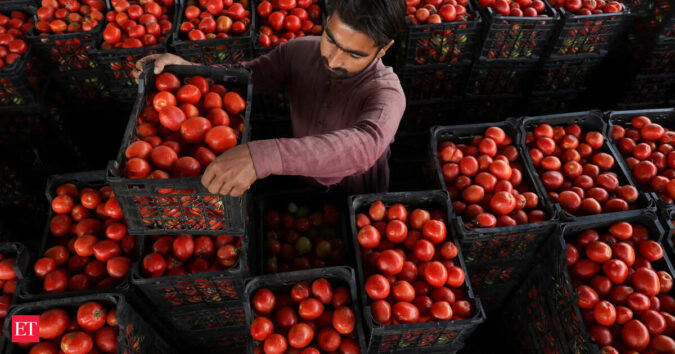 Tomato prices soar 50% in 15 days due to excess October rains