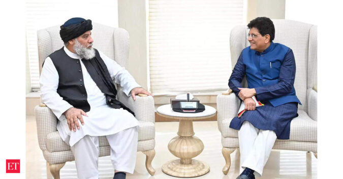 India, Afghanistan commit to enhancing trade, economic cooperation ET logo