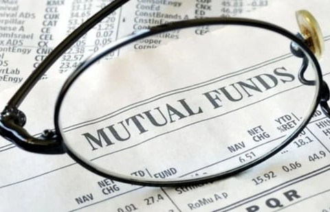 DII inflows via mutual fund SIPs exceeding  ₹20,000 crore a month have become a stabilising force, cushioning the market during FII outflows. (HT)