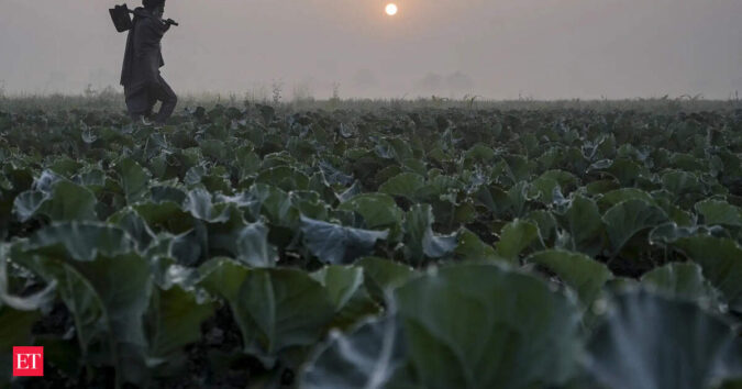 Agri growth estimated to be lower at 4% in FY26: Niti Aayog member Ramesh Chand ET logo