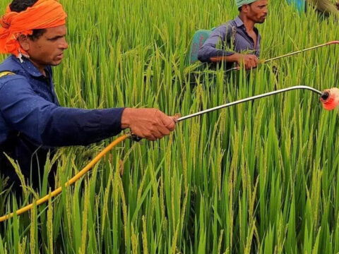 Shivraj Singh Chouhan stresses on balanced fertiliser use to avoid soil degradation