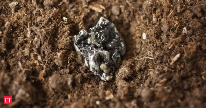 Govt notifies Rs 7,280-crore scheme to manufacture rare earth magnets in India ET logo