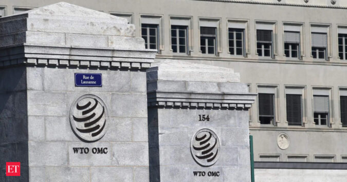 At WTO, India Calls for Steps to Boost Tech Transfer to Developing Nations