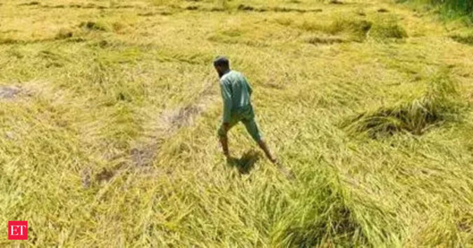 Finmin to Take a Relook at Crop Insurance Plan