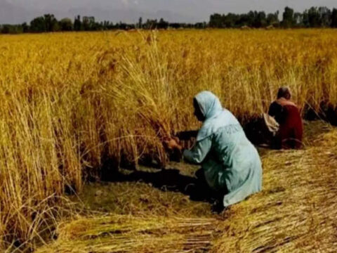 States to gain Rs 17,000 crore under VB-G RAM G scheme: SBI report ET logo