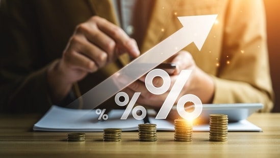 The fixed income instruments like fixed deposits and bonds hold an investment portfolio in times of market turbulence. (Shutterstock)