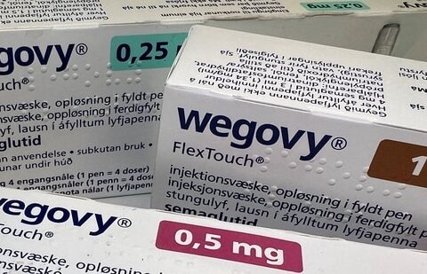 Novo Nordisk slashed WeGovy prices by up to 37% in India last month. (Reuters)