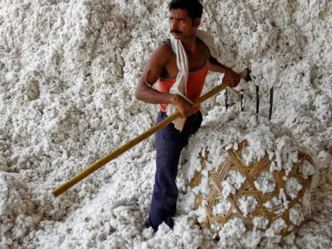 Cotton imports zoom as traders reap zero duty window benefit<br>