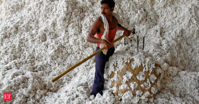 Cotton imports zoom as traders reap zero duty window benefit<br>
