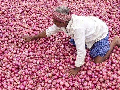 Bangladesh stops new import permits for onion from India