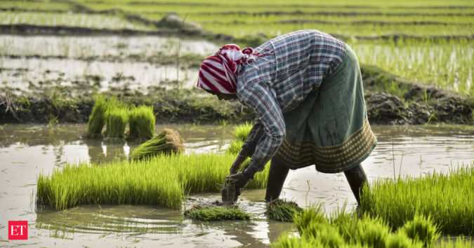 US imports pressure sends corn, soybean prices down ET logo