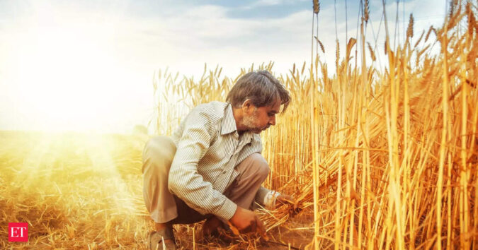 India braces for unusually hot March that can put key crops at risk, sources say ET logo