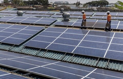 India's solar  exports to the US reached $792.6 million in 2024, a nine-fold increase from 2022 levels. (AFP)