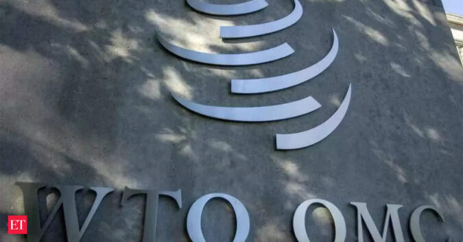WTO meet: India pushes tech transfer to boost developing nations’ trade