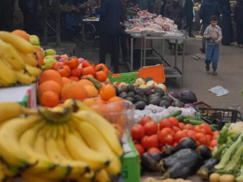 Indian fruit, vegetable exporters a worried lot as Iran war upsets all calculations ET logo