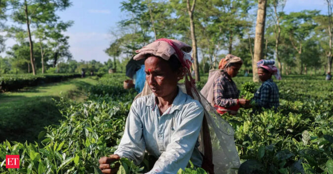 Strait of Hormuz tensions threaten 41% of India’s tea exports: TAI ET logo