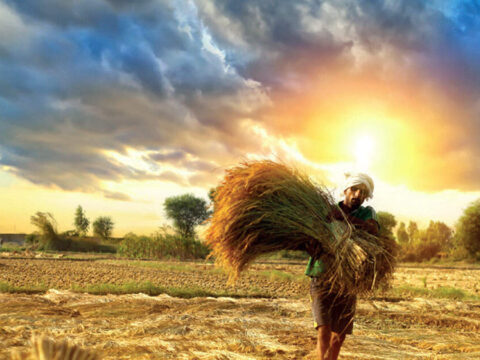 Pulsar International mulls foray into AI-based farm supply chain management solutions