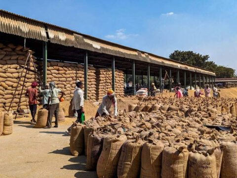 India underreported rice, wheat price support: US, others to WTO ET logo