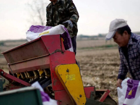 Adequate fertiliser stock available, farmers will not face shortage despite Israel-Iran war: IFFCO ET logo