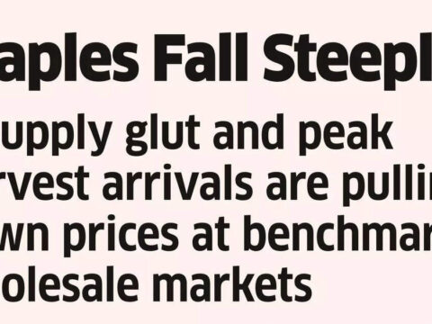 Vegetable Prices Drop up to 80% on Supply Glut
