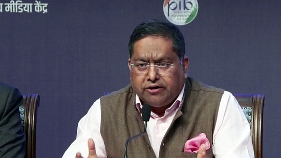 External affairs ministry spokesperson Randhir Jaiswal. (ANI Video Grab )