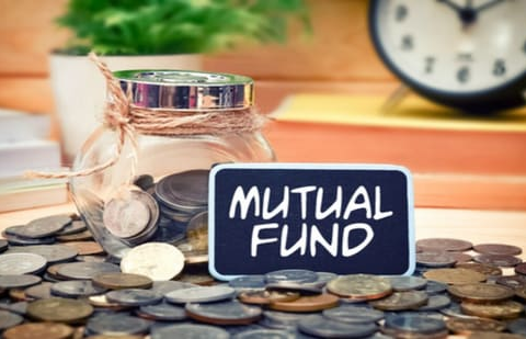 The Edelweiss 70:30 Index Fund is designed for investors who want the growth of mid-caps but are wary of the volatility that comes with them.