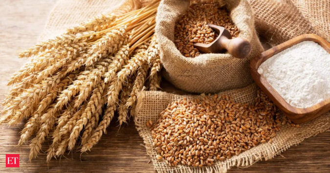 Unseasonal rain may dent wheat output, quality