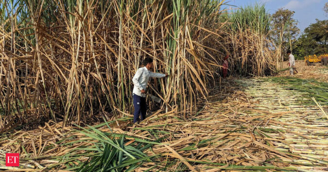 Tech advances yet to fix uneven mill performance, data gaps in sugar sector: Food Secretary ET logo