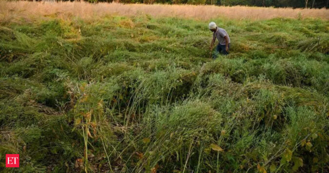 NITI Aayog lays out roadmap for horticulture transformation in J&K ET logo