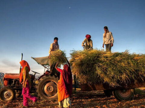 West Asia conflict deals a double whammy to India’s farm sector: pre-harvest cost pressures, post-harvest shipping delays ET logo