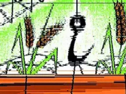 Wholesale rice prices up 7% as West Asia ceasefire fuels export rush Wholesale rice prices up 7% as West Asia ceasefire fuels export rush