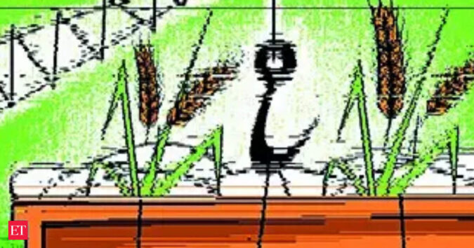 Wholesale rice prices up 7% as West Asia ceasefire fuels export rush