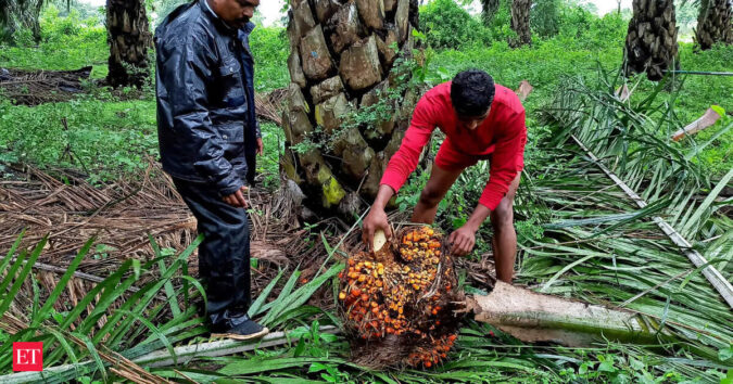 India’s March palm oil imports fall 19% to three-month low ET logo