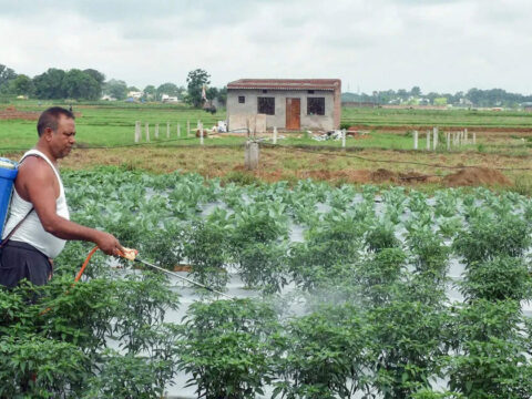 IMD flags below-normal monsoon for 2026; rainfall seen at 92% of long-term average ET logo