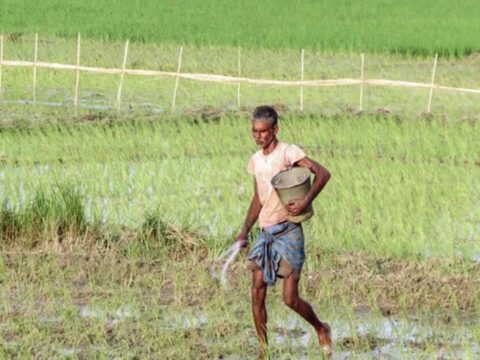 el nino: El Nino threat looms large as data shows strong link to weak monsoons ET logo