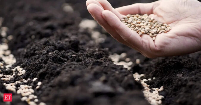 Seed industry seeks policy support amid input cost increase