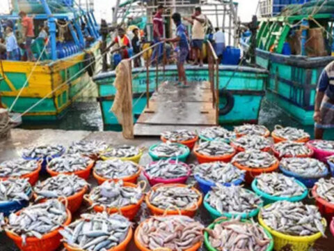 India seafood exports to US fall amid tariffs
